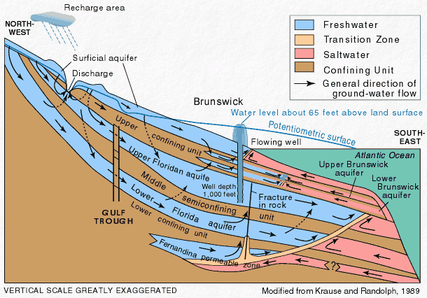 Flowing artesian well